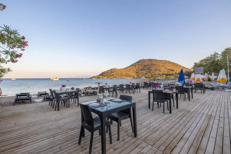 Restoran ve Barlar