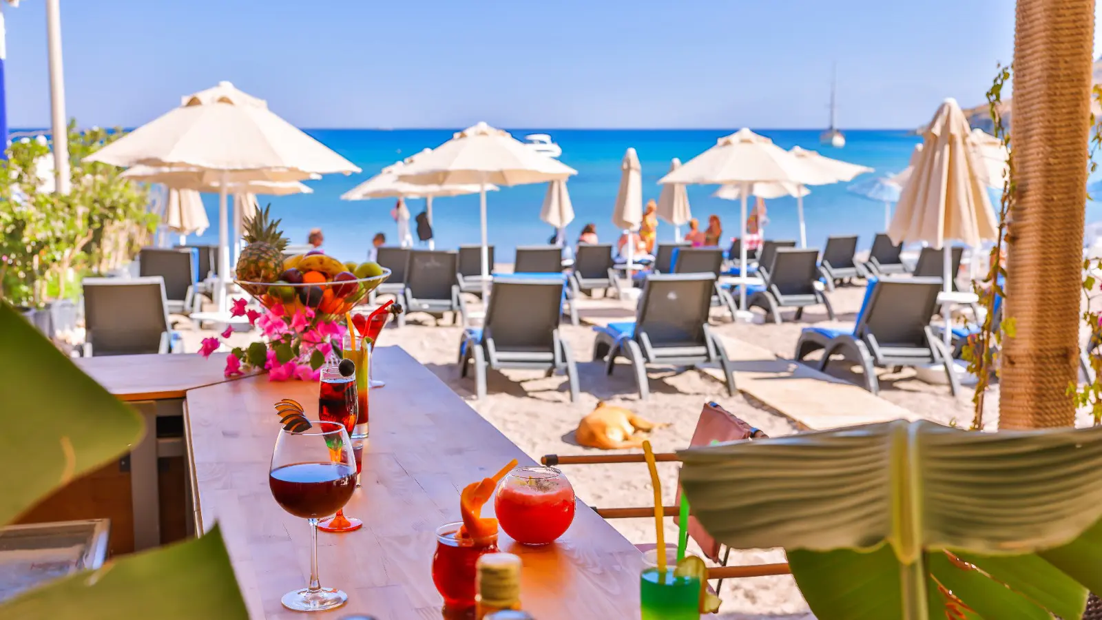 Erken Rezervasyon Fırsatları Başladı!